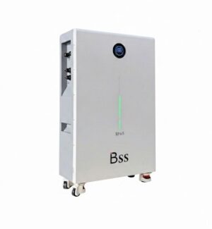 Pin lưu trữ BSS 16KW - 51.2V 314AH Luxury